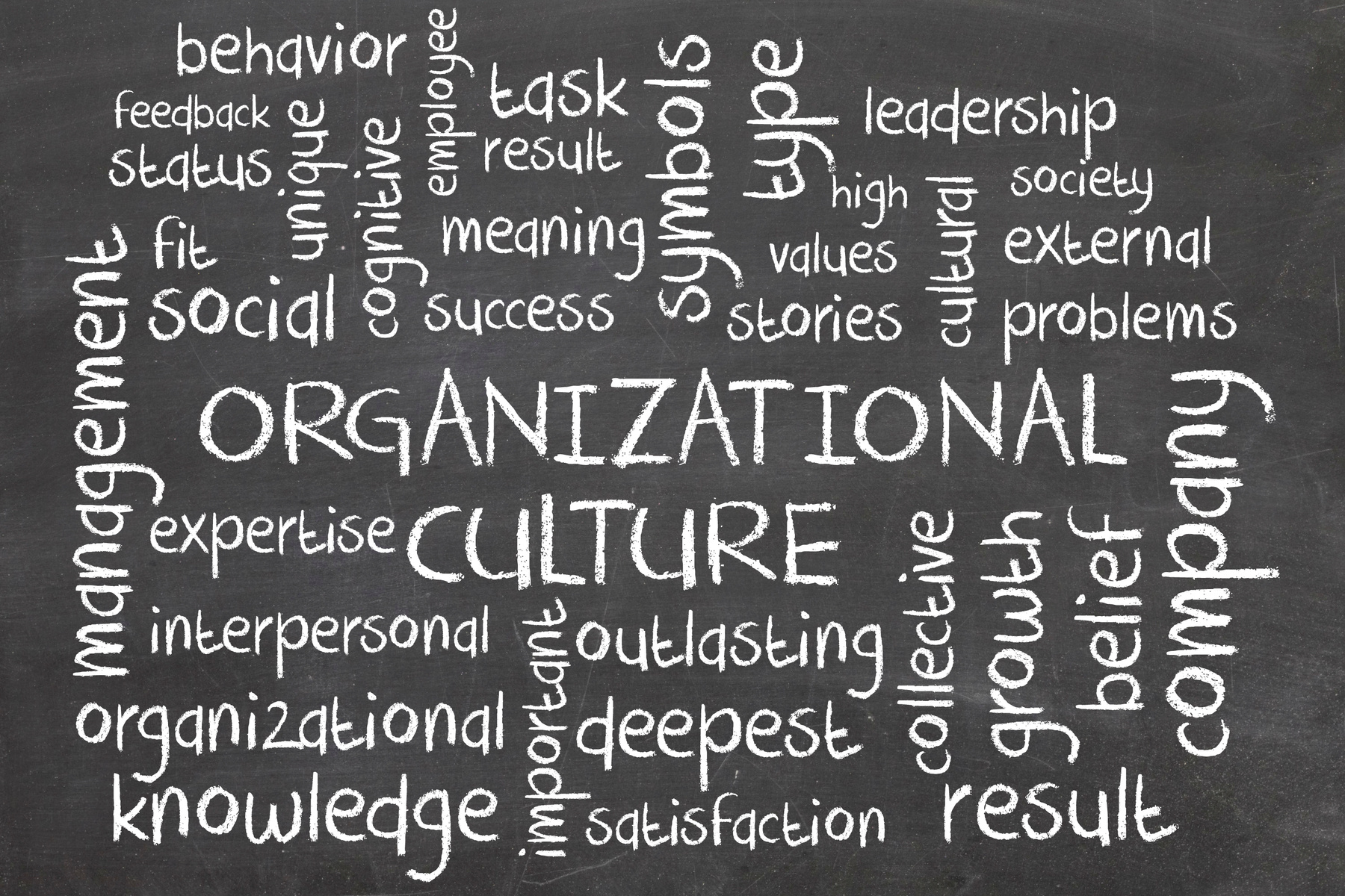 organizational culture